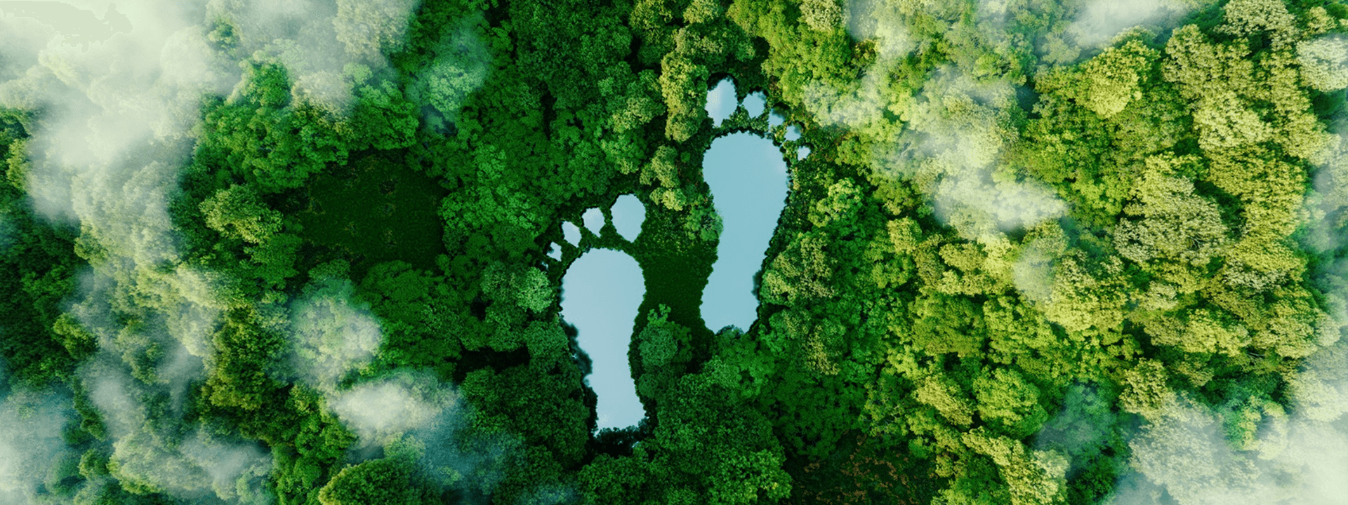 Karbon ayak izi nedir, nasıl azaltılır?